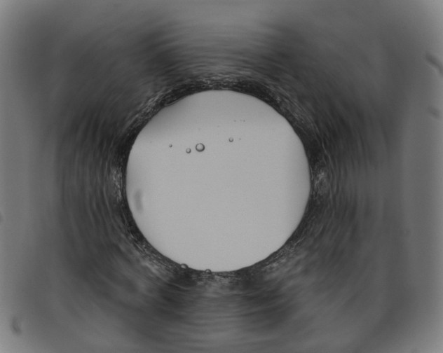 X0000098050772200804251103