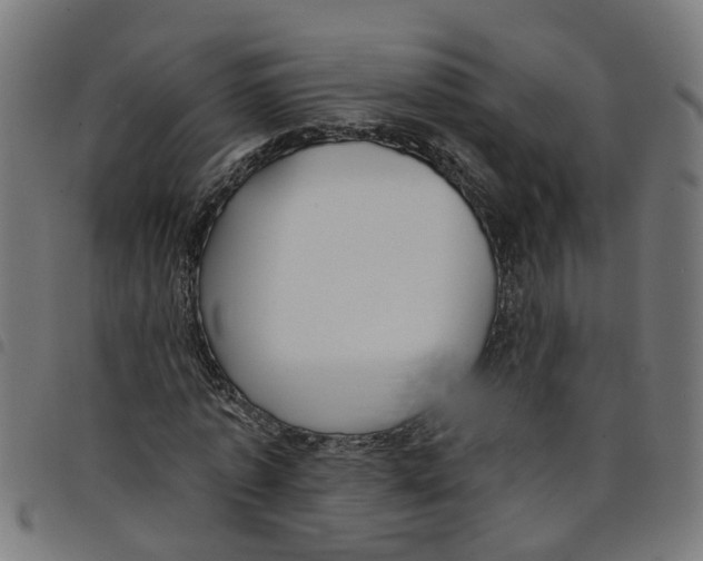 X0000098050773200804251103