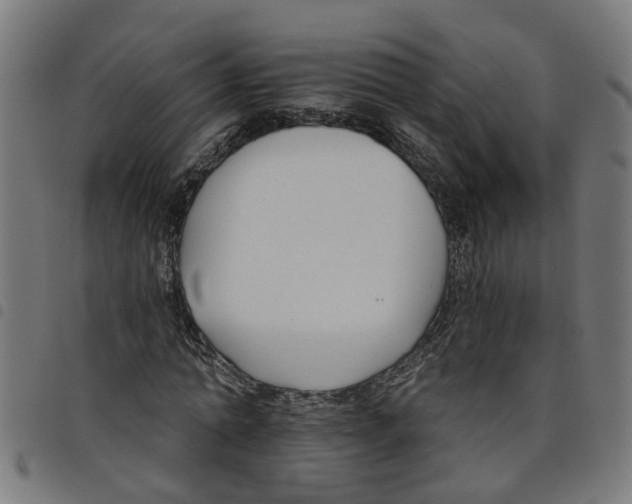 X0000098050774200804251103