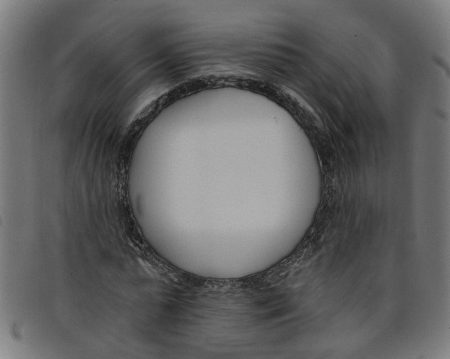 X0000098050775200804251103