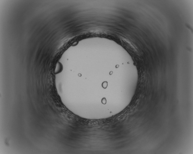 X0000098050776200804251103