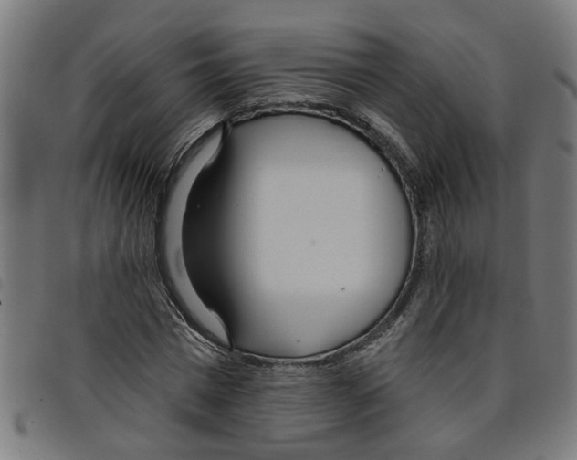 X0000098050777200804251103