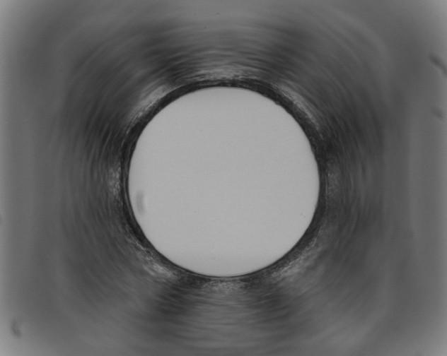 X0000098050778200804251103