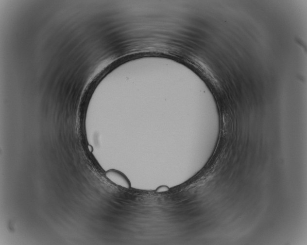 X0000098050780200804251103