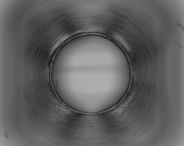 X0000098050781200804251103