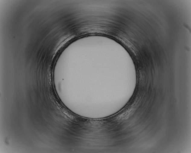 X0000098050782200804251103