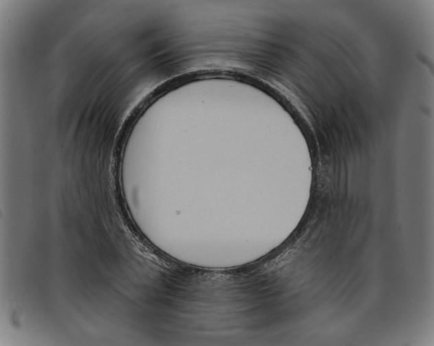 X0000098050783200804251103