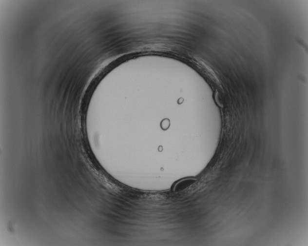 X0000098050784200804251103