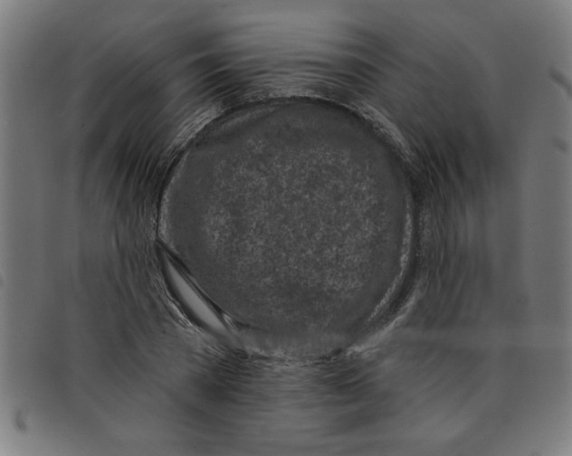 X0000098050785200804251103