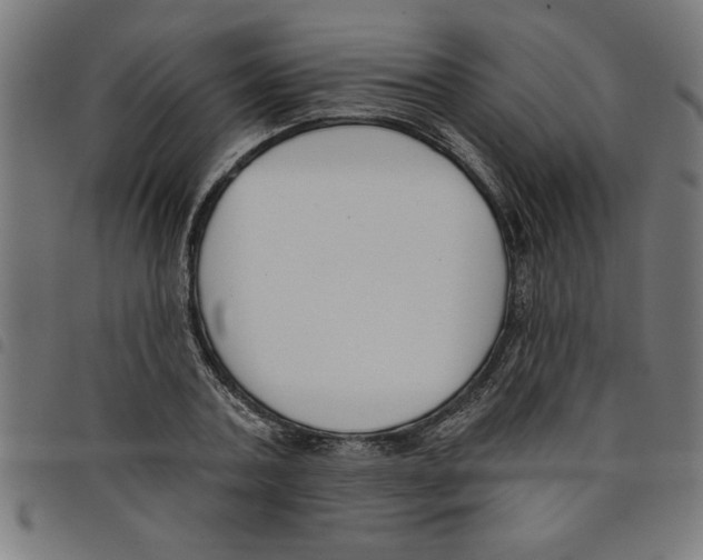 X0000098050787200804251103