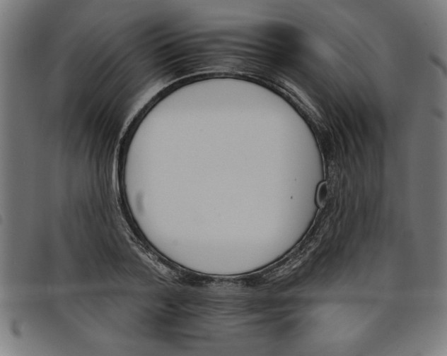 X0000098050788200804251103