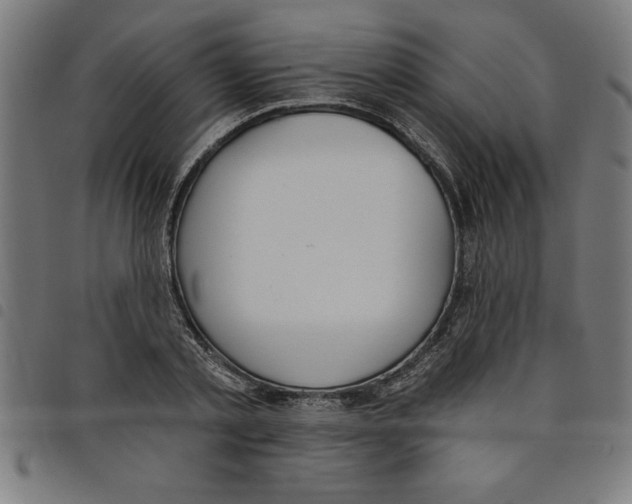 X0000098050789200804251103