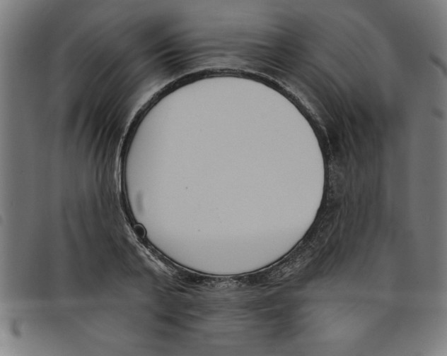 X0000098050791200804251103