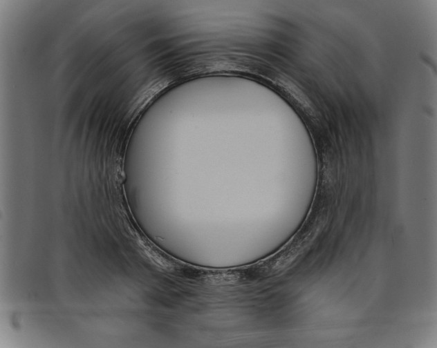 X0000098050793200804251103