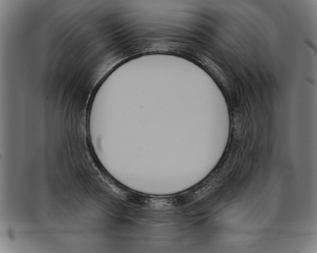 X0000098050794200804251103