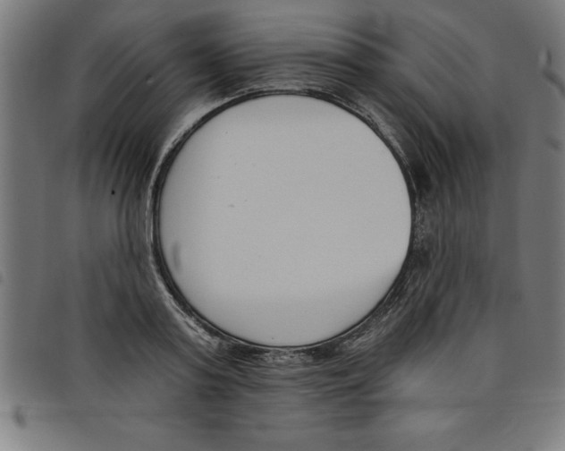 X0000098050795200804251103