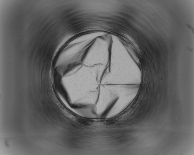 X0000098050796200804251103