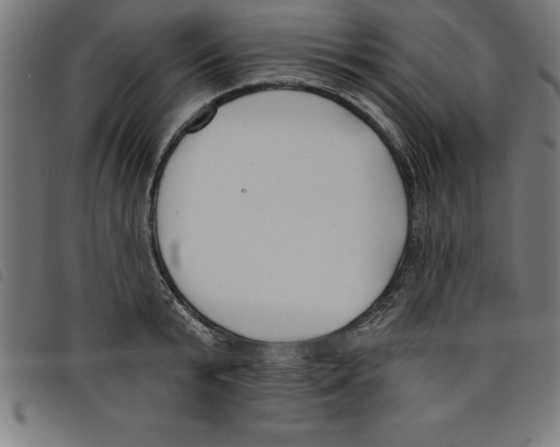 X0000098050799200804251103