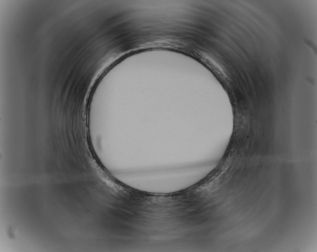 X0000098050800200804251103