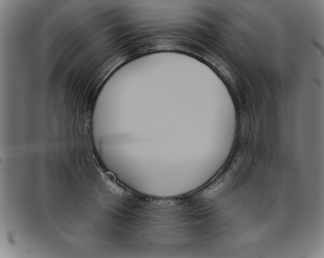 X0000098050801200804251103