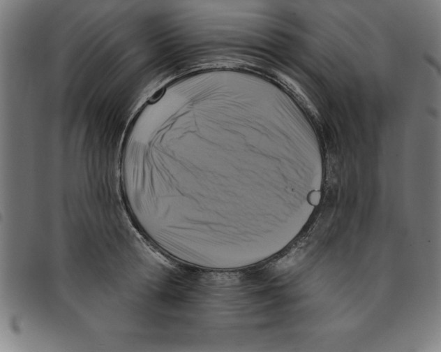 X0000098050802200804251102