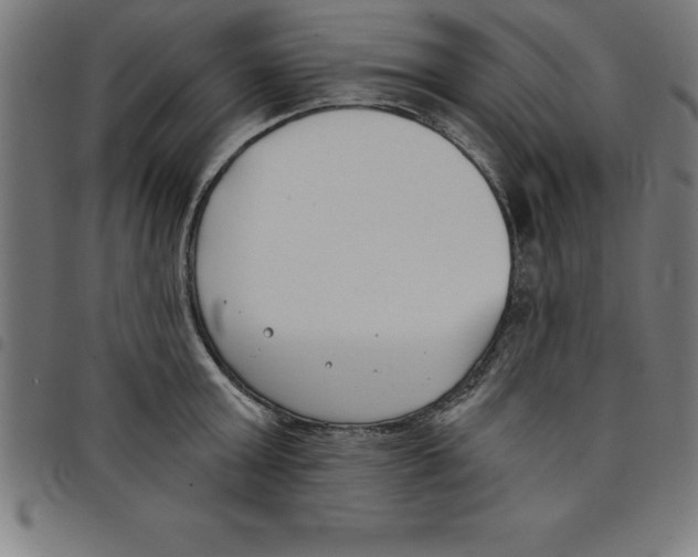 X0000098050803200804251102