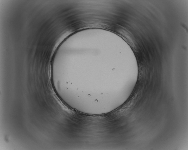 X0000098050804200804251102