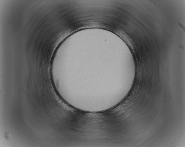 X0000098050805200804251102