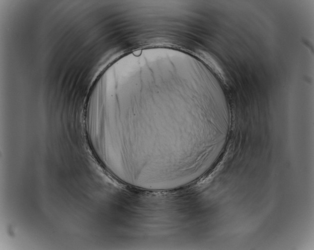 X0000098050806200804251102