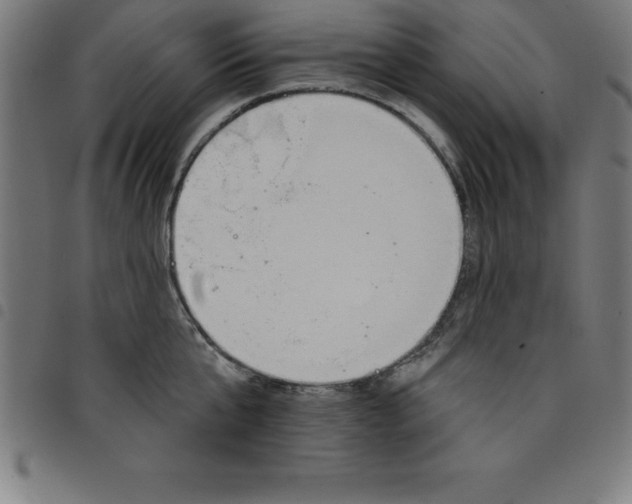 X0000098050807200804251102