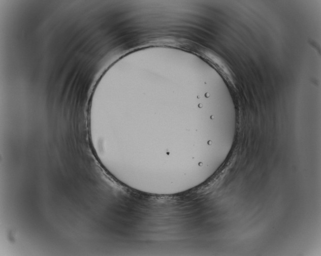 X0000098050808200804251102