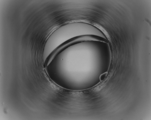 X0000098050809200804251102