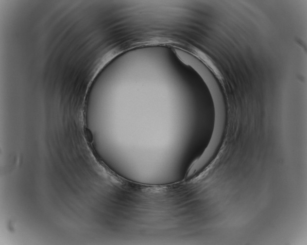 X0000098050810200804251102