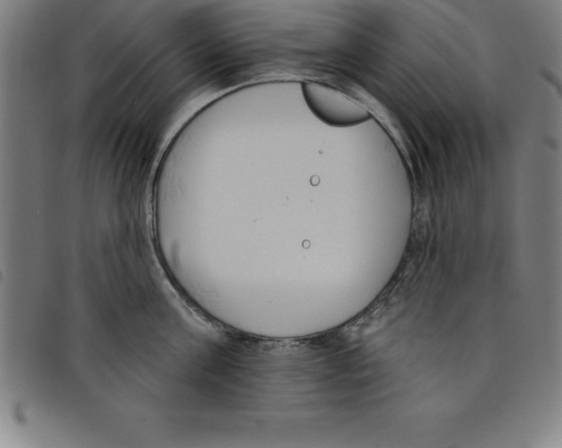 X0000098050811200804251102