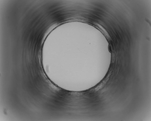 X0000098050812200804251102