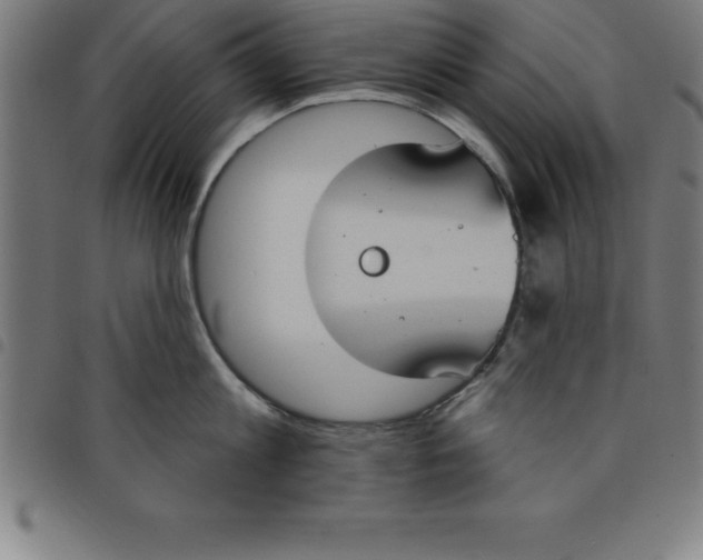 X0000098050813200804251102