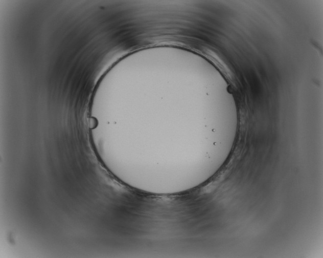 X0000098050814200804251102