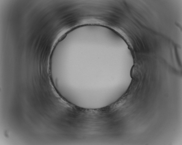 X0000098050815200804251102