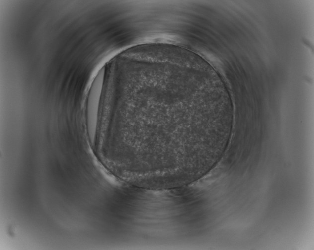 X0000098050816200804251102