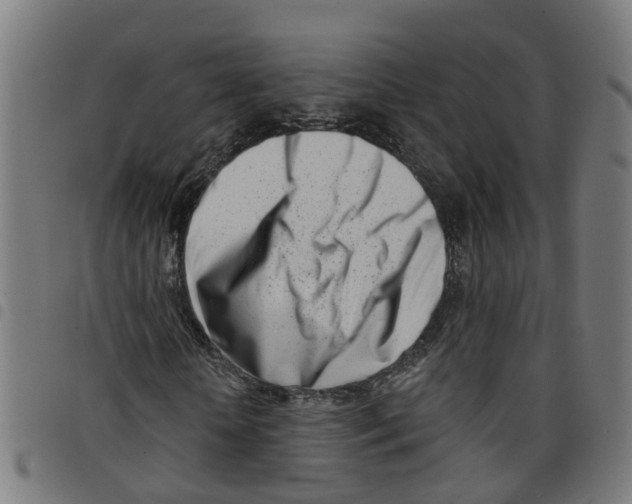 X0000098050818200804251101