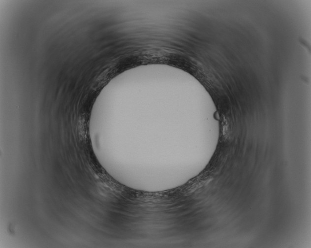 X0000098050819200804251101