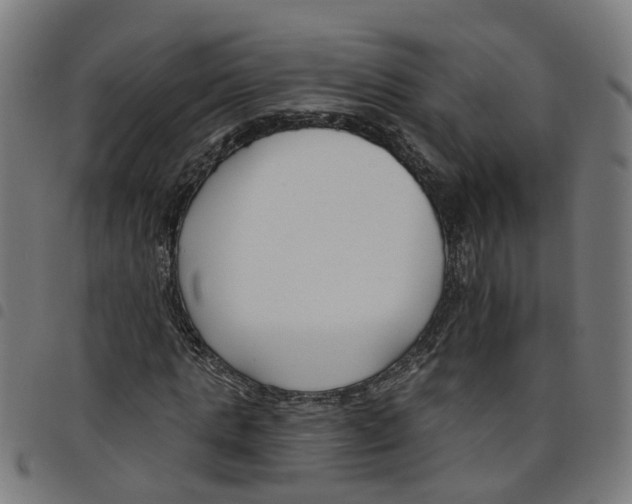 X0000098050821200804251101