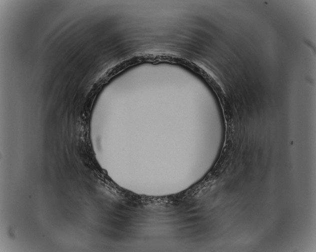 X0000098050823200804251102