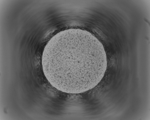 X0000098050824200804251102