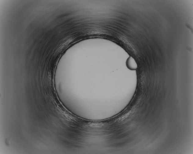 X0000098050825200804251102