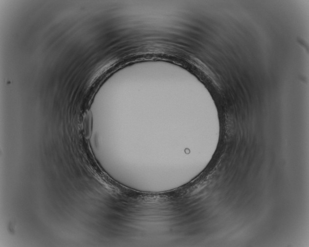 X0000098050826200804251102