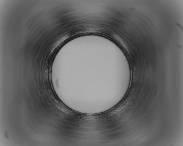 X0000098050827200804251102