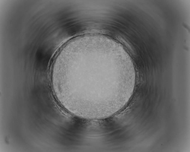 X0000098050828200804251102