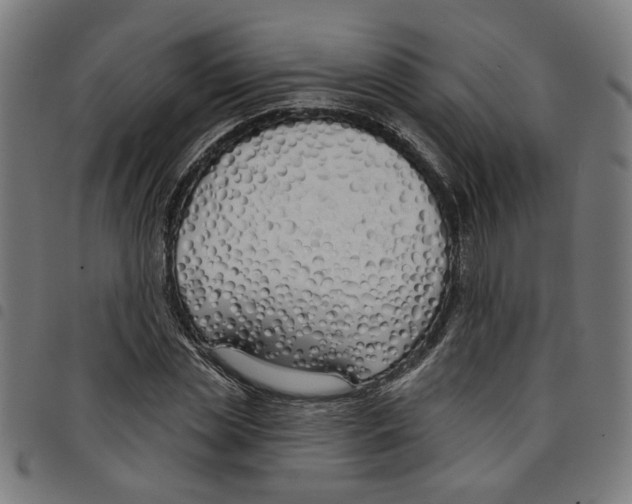 X0000098050829200804251102