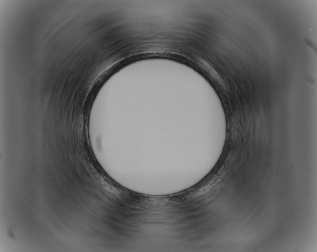 X0000098050831200804251102